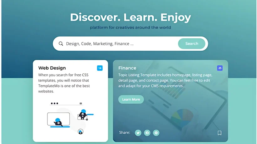 Site web basé sur un template standard avec limitations